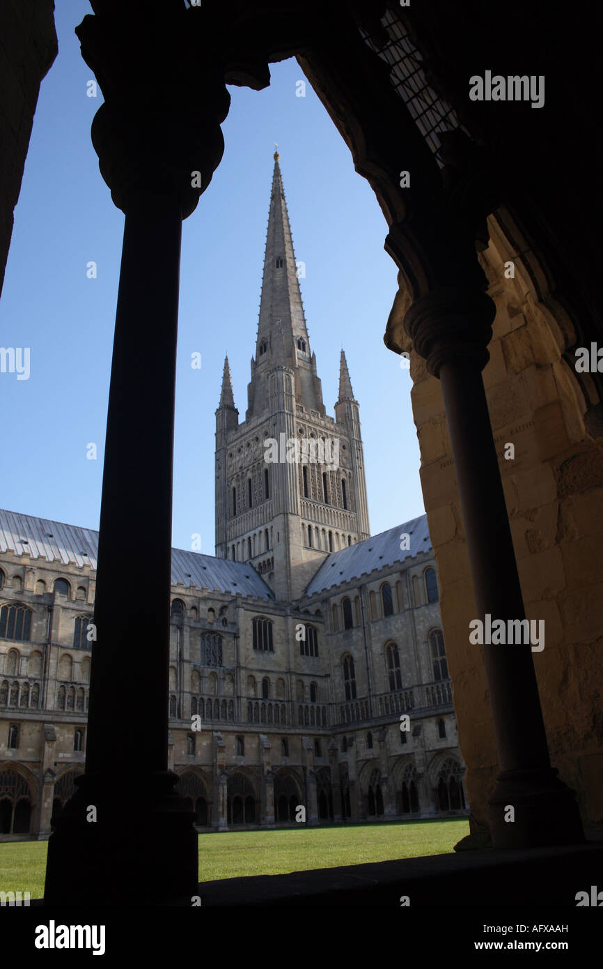 Norwich Cathedral Stockfoto