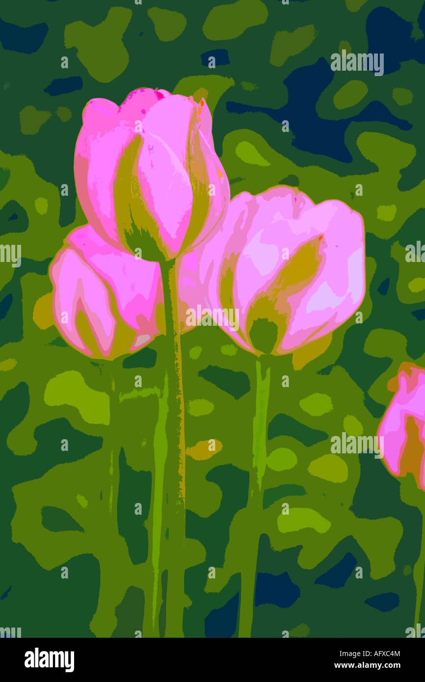 Illustration der rosa Tulpen Stockfoto
