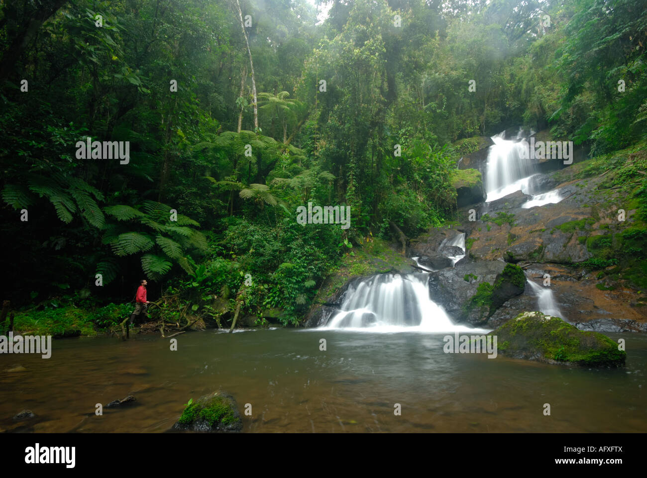 Ein Mann beobachtet einen Wasserfall im Atlantischen Regenwald Stockfoto