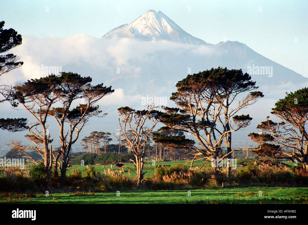 Mount Egmont Taranaki Neuseeland Stockfoto