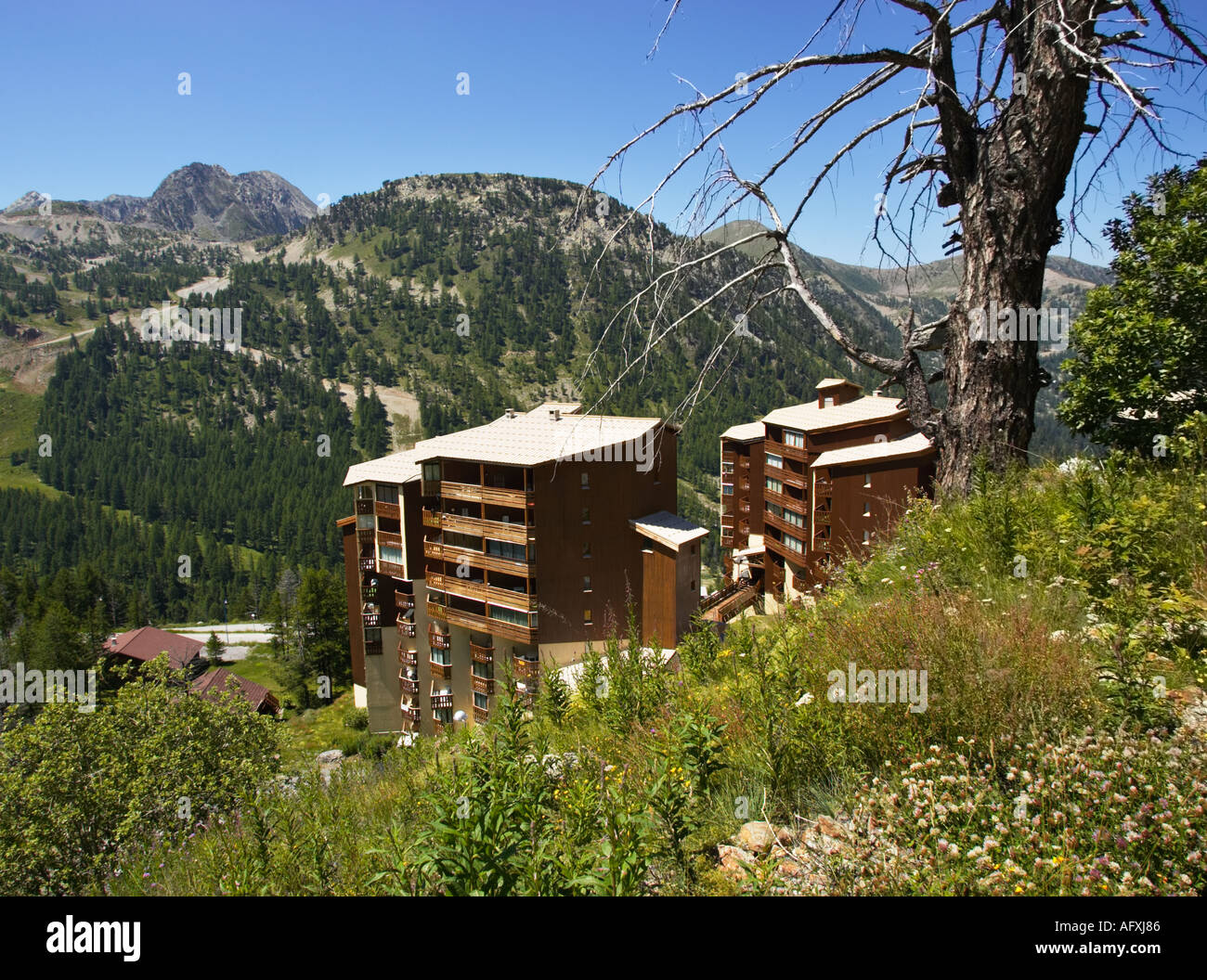 Isola 2000 Skigebiet Alpes Maritimes, Frankreich, Europa - im Sommer Stockfoto