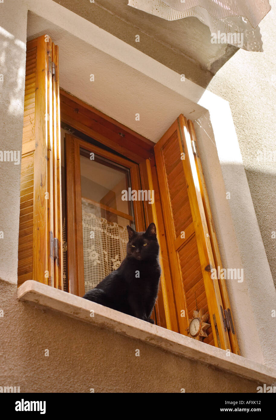 Schwarze Katze saß auf der Fensterbank des Hauses mit hölzernen Fensterläden am Fenster in Südfrankreich Stockfoto