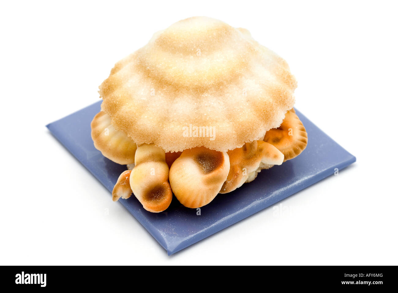 Zucker-Handwerk Stockfoto