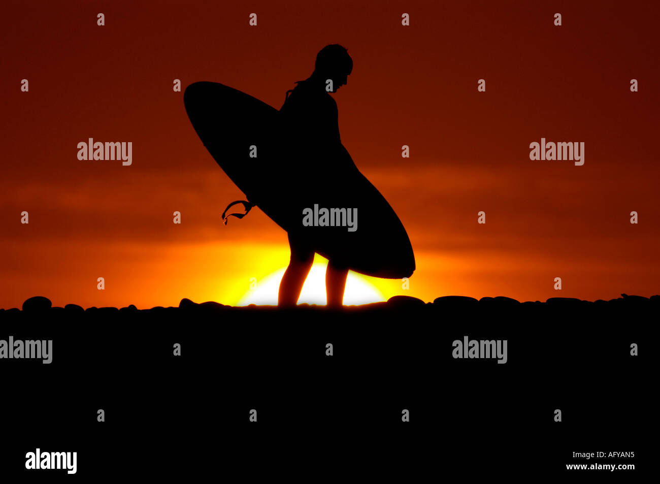 Eine Surfer geht an den Strand mit seinem Surfbrett gegen eine orange roten Himmel bei Sonnenaufgang, Devon Stockfoto