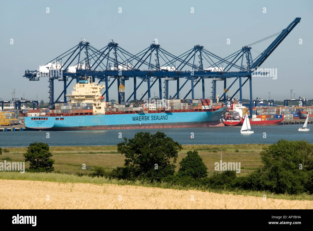 Suffolk Landscape River Orwell & Felixstowe Container Port ein kommerzielles Geschäft mit Kräne Entladen Maersk Sealand Shipping Containers UK Stockfoto