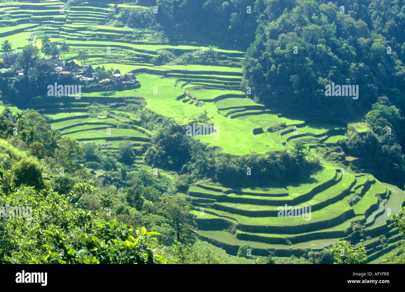 Jahr 2000 sind alte Banaue Reis-Terrassen auf der Insel Luzon auf den Philippinen, ein UNESCO-Weltkulturerbe und Heimat Ifugao Stamm Stockfoto