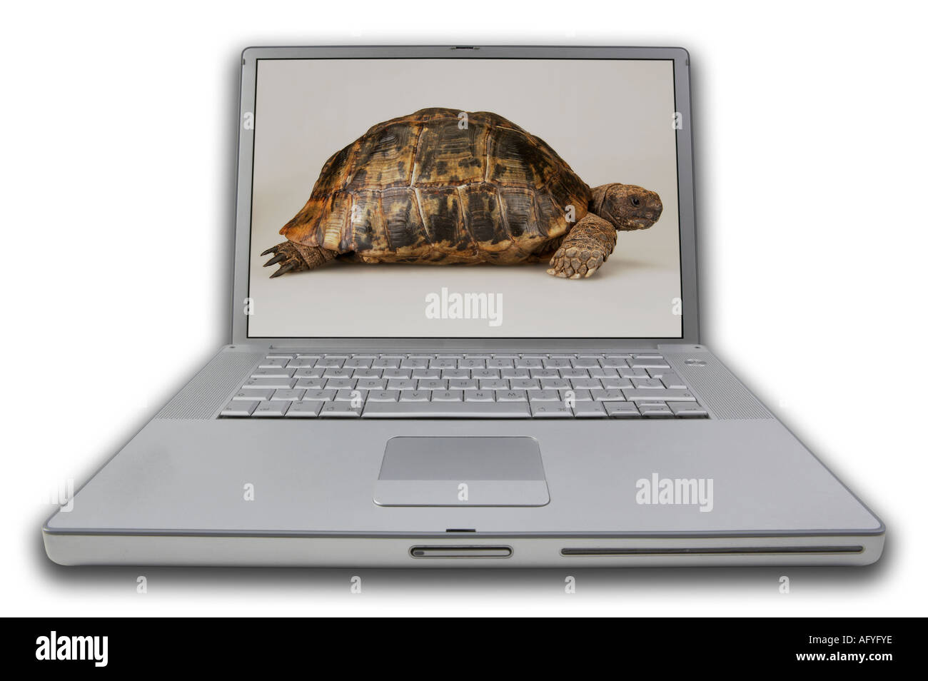 RUNDE KOPFNOTE BUCH PERSÖNLICHE COMPUTER MIT BILDSCHIRM ANZEIGE BILD DER KRIECHENDE SCHILDKRÖTE Stockfoto