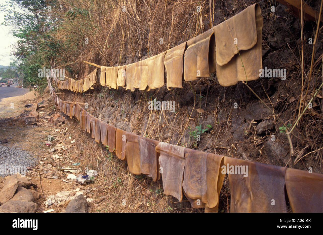 Süd Indien Kerala Dorf Beschriftung Lebens Kautschuk Stockfoto