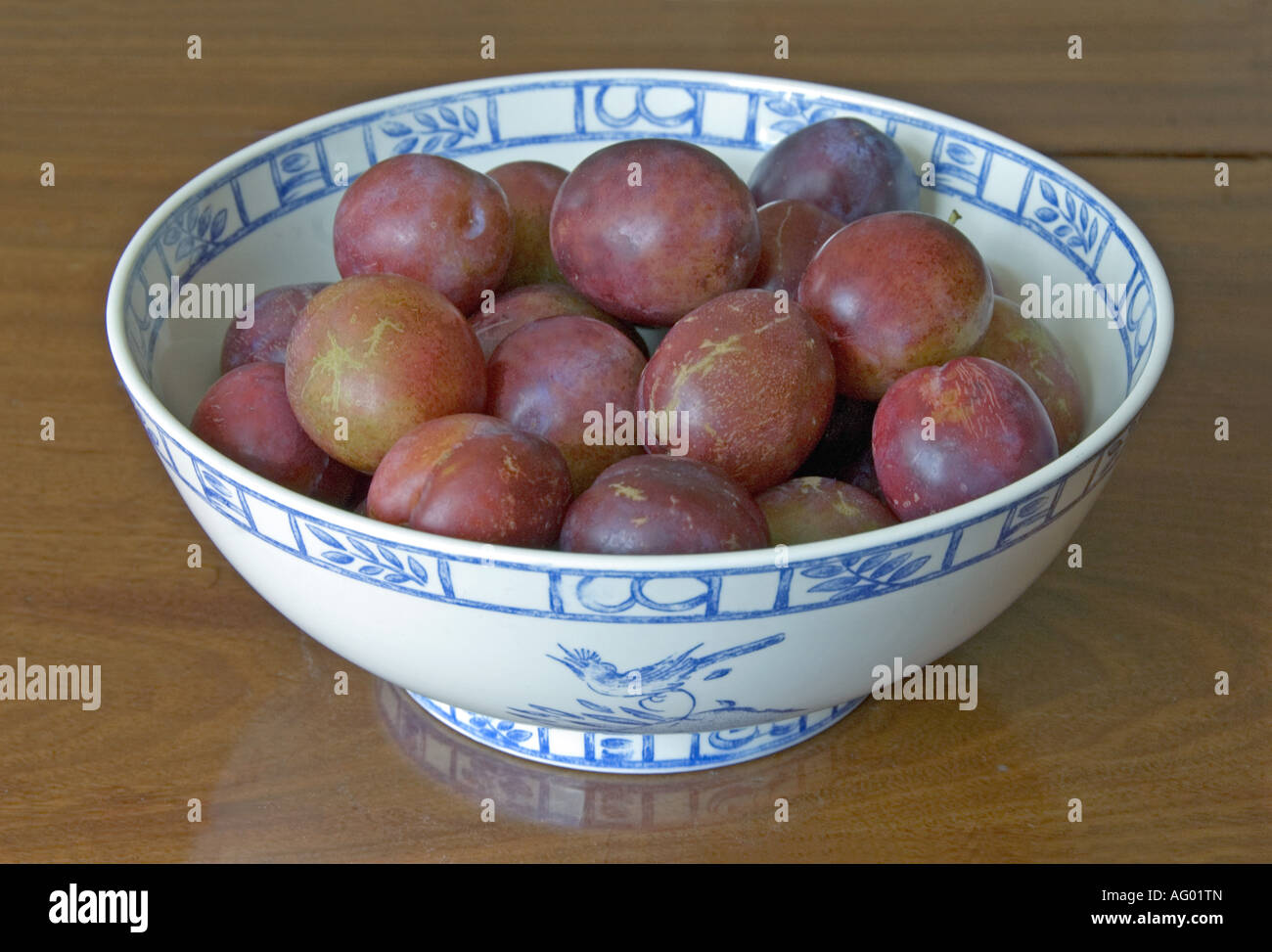 Marjorie s Sämling Pflaumen in einer französischen Porzellan-Schüssel Stockfoto