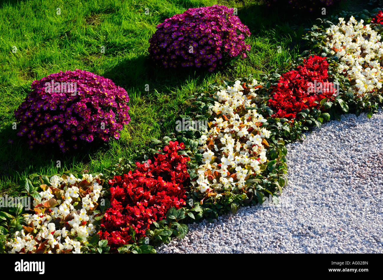 Muster aus Blumen gemacht Stockfoto