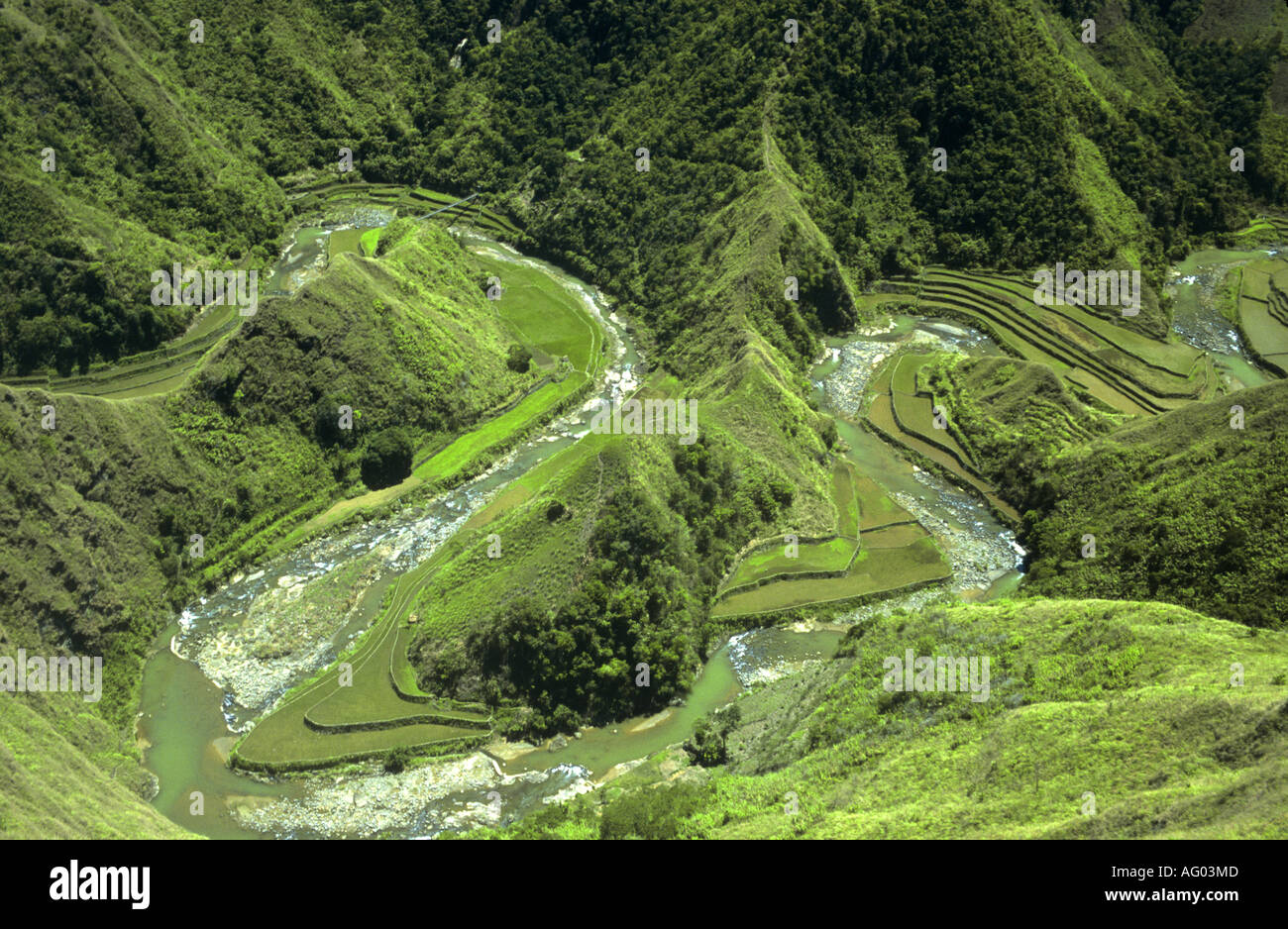 Jahr 2000 sind alte Banaue Reis-Terrassen auf der Insel Luzon auf den Philippinen, ein UNESCO-Weltkulturerbe und Heimat Ifugao Stamm Stockfoto