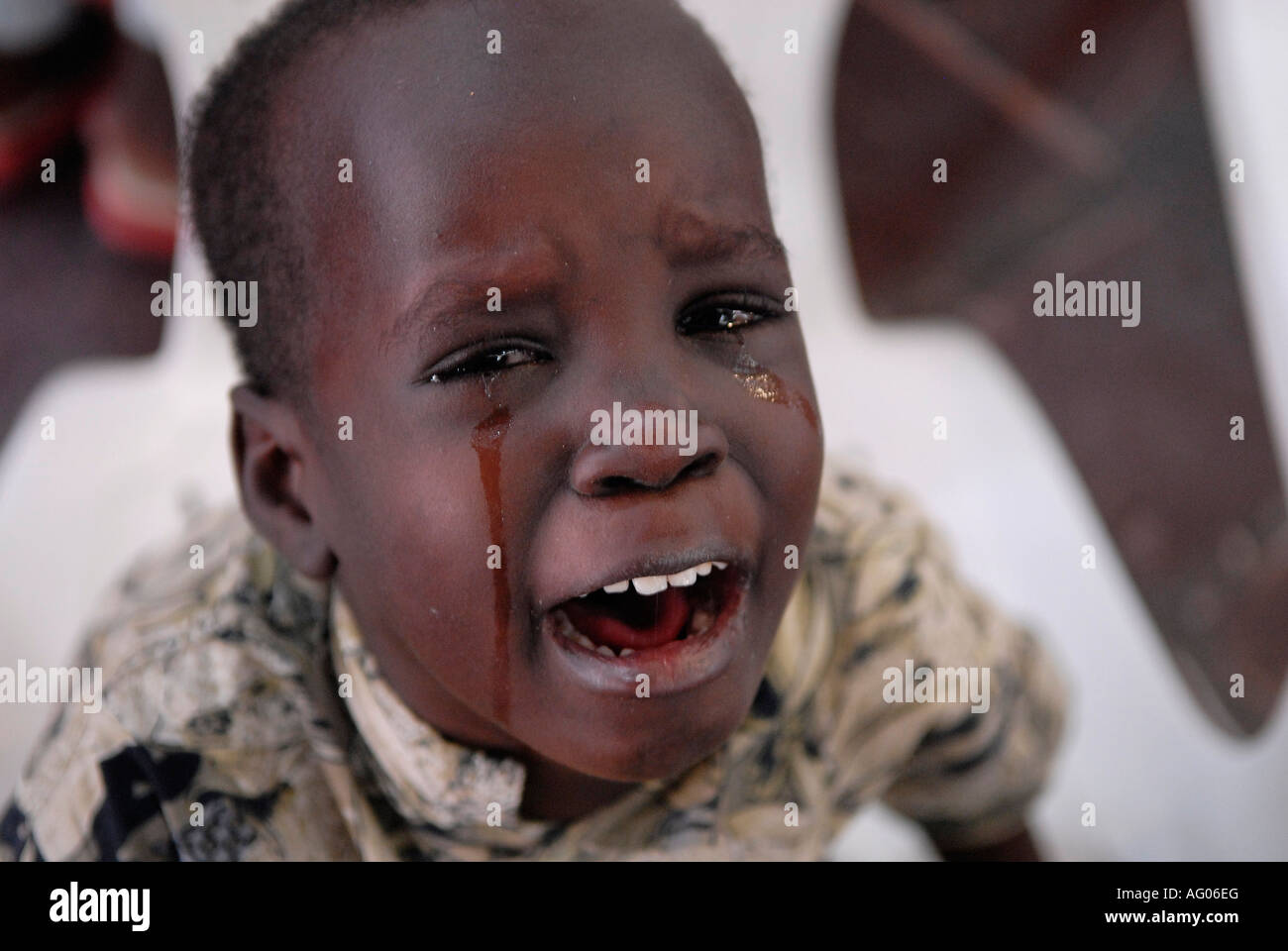 Afrikanischen jungen Weinen Stockfoto