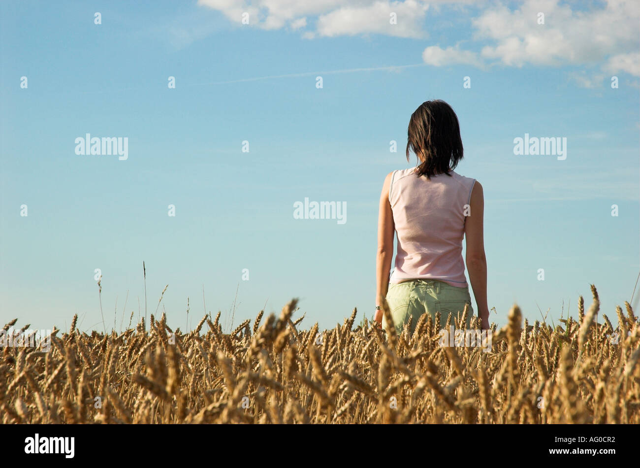 Junge Frau im Weizenfeld Blick in Ferne Stockfoto