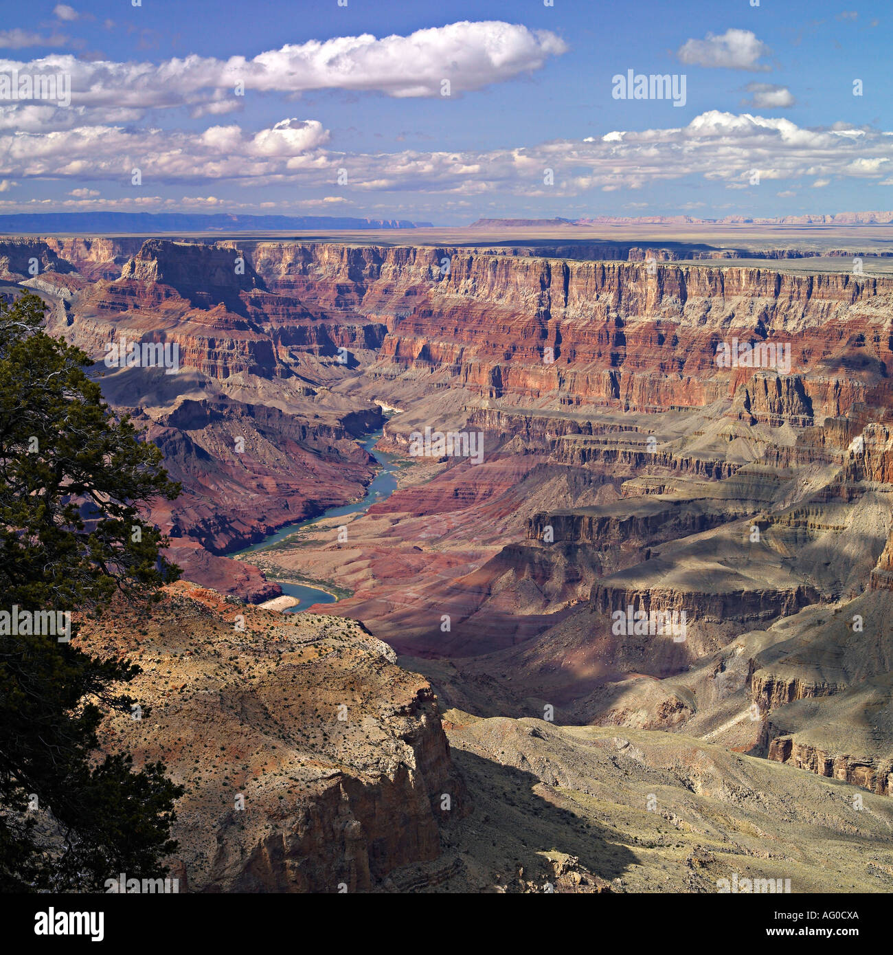 Grand Canyon, Arizona Stockfoto