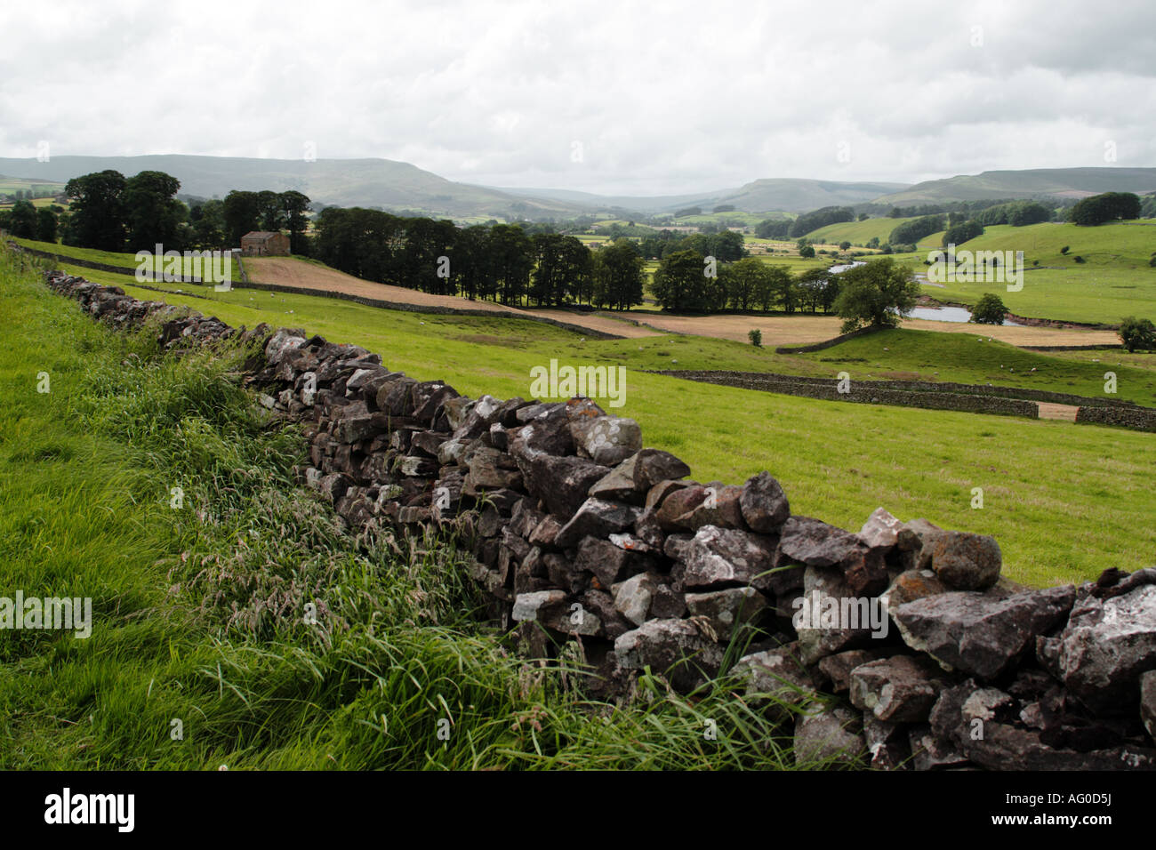 Die Yorkshire Dales in der Nähe von Aysgarth in Wensleydale UK Stockfoto