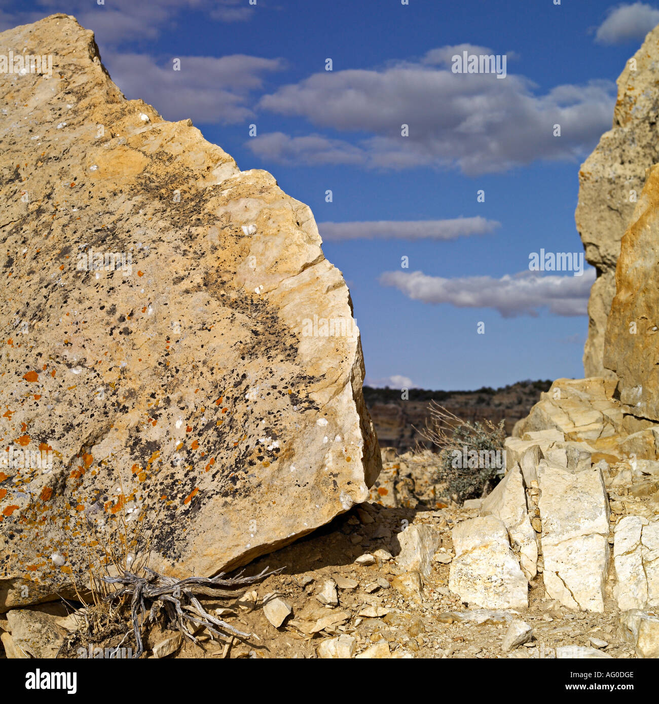 Inneren Grand Canyon Stockfoto