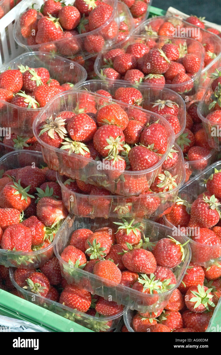 Erdbeeren in Bastkörbe in Islington Farmers Market London England, UK Stockfoto