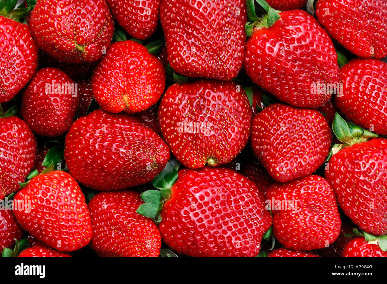 Reife appetitlich Bio-Erdbeeren-Obst-Hintergrund Stockfoto