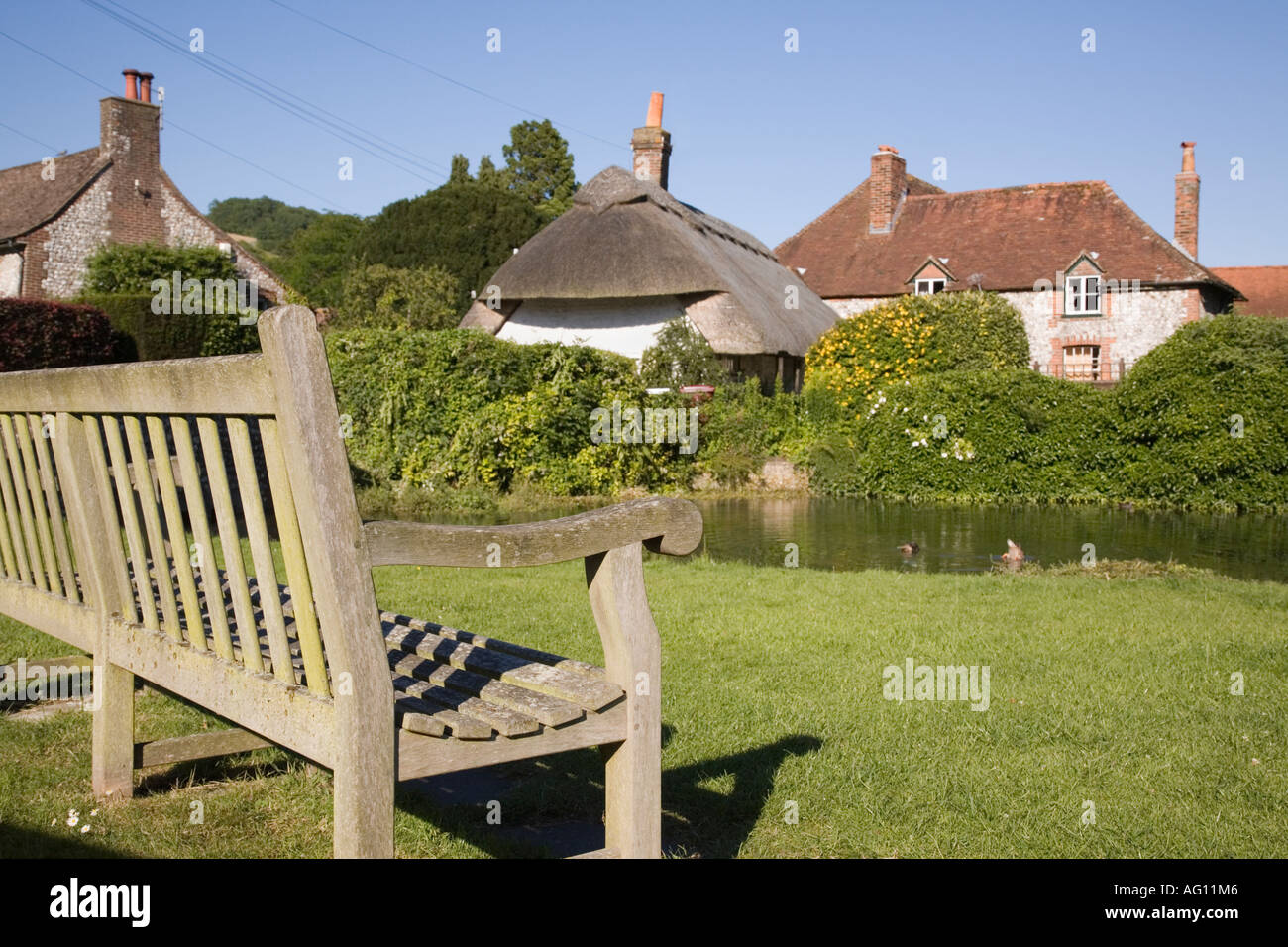 Holz- Sitzbank auf Country Village Green durch Teich in Singleton in der South Downs. West Sussex England Großbritannien Großbritannien. Stockfoto