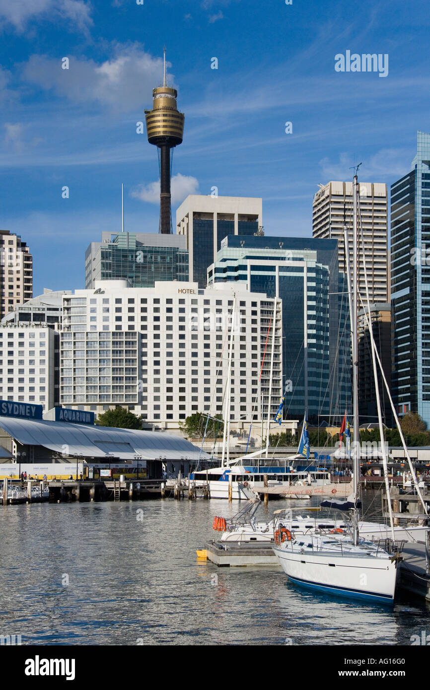Sky Tower und Stadt von Darling Harbour in Sydney Australia gesehen Stockfoto
