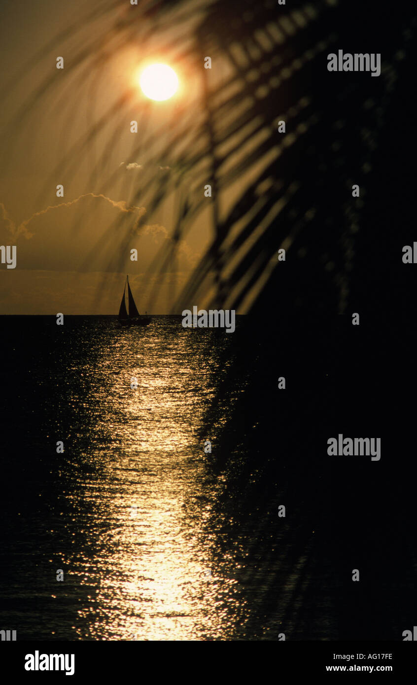 Sonnenuntergang Mauritius Stockfoto