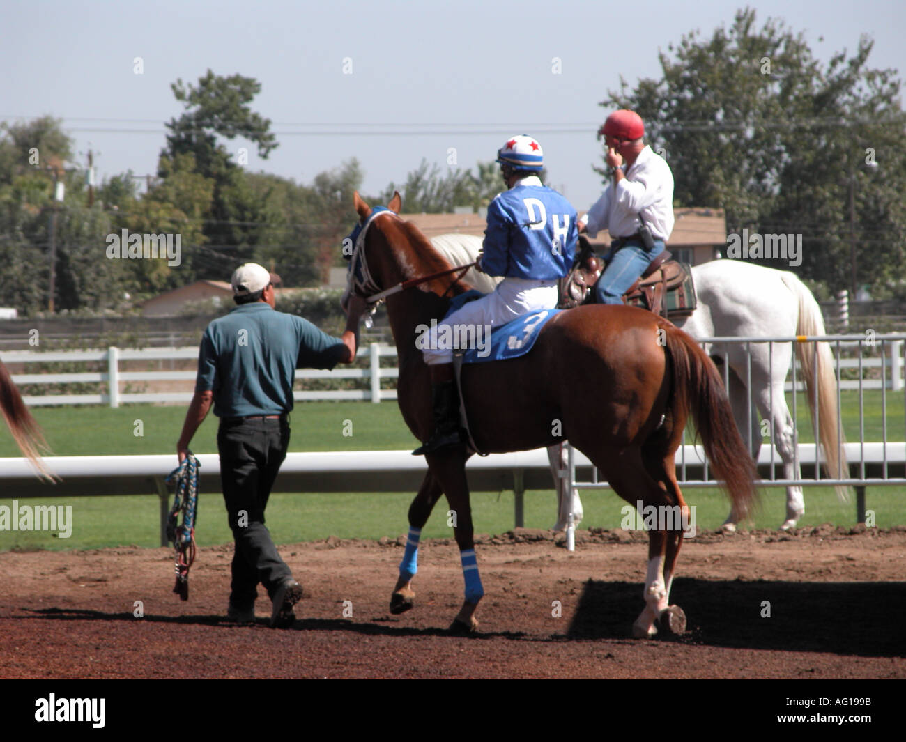 Das Rennpferd A Classic Schleudertrauma wird bereit für das Rennen am Fresno CA County fair Stockfoto