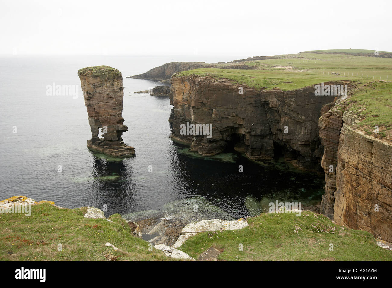 Die Burg von Yesnaby Seastack Garthna Geo Bucht Orkney Scotland UK Stockfoto
