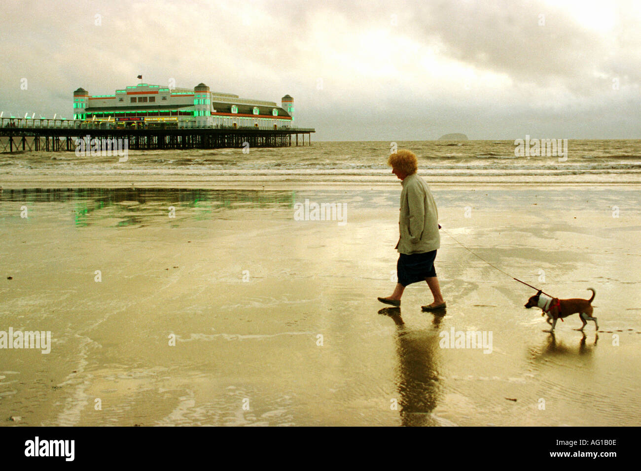 Eine alte Dame, die ihren Hund spazieren gehen, am Strand von Weston Super Mare England UK GB mit Pier im Hintergrund Stockfoto