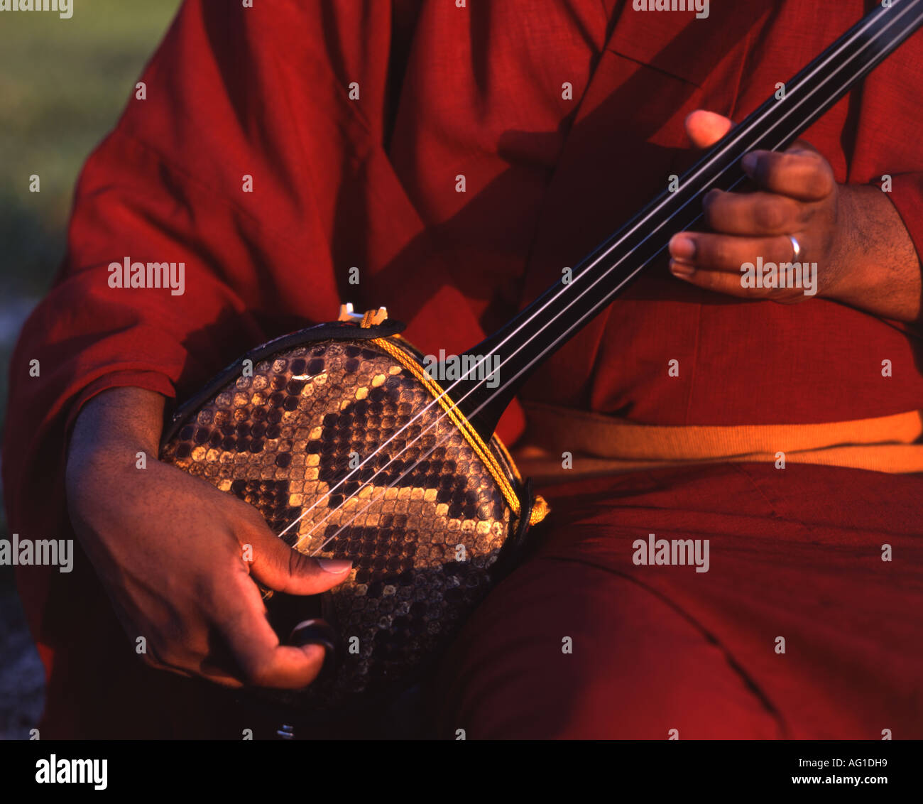 Traditionelles Okinawa Instrument der Sanshin (gespielt von Byron Jones) Stockfoto