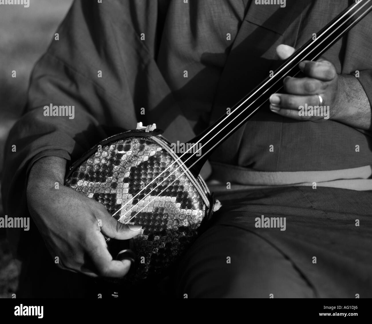 Traditionelles Okinawa Instrument der Sanshin (gespielt von Byron Jones) Stockfoto