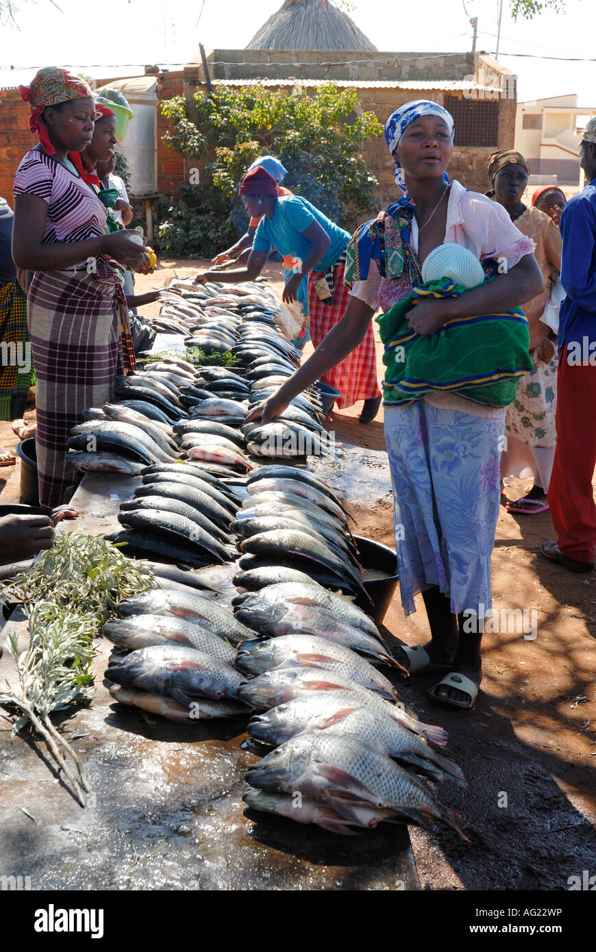 Outdoor-Fischmarkt Stockfoto