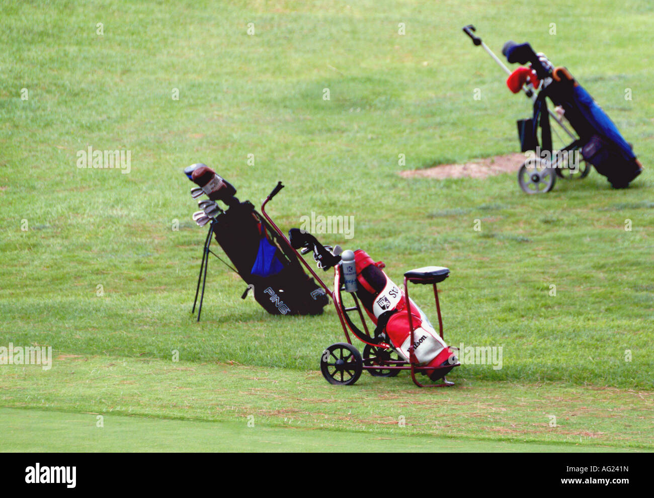 Golf-Carts auf dem Grün Stockfoto