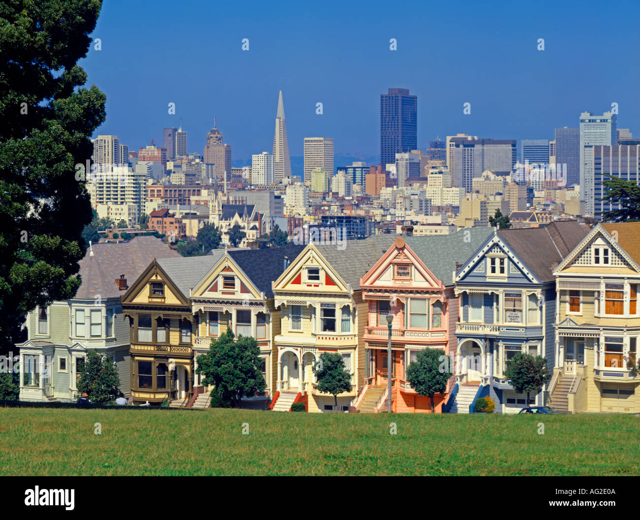 Alamo Park in San Francisco Kalifornien USA viktorianischen Häusern Stockfoto