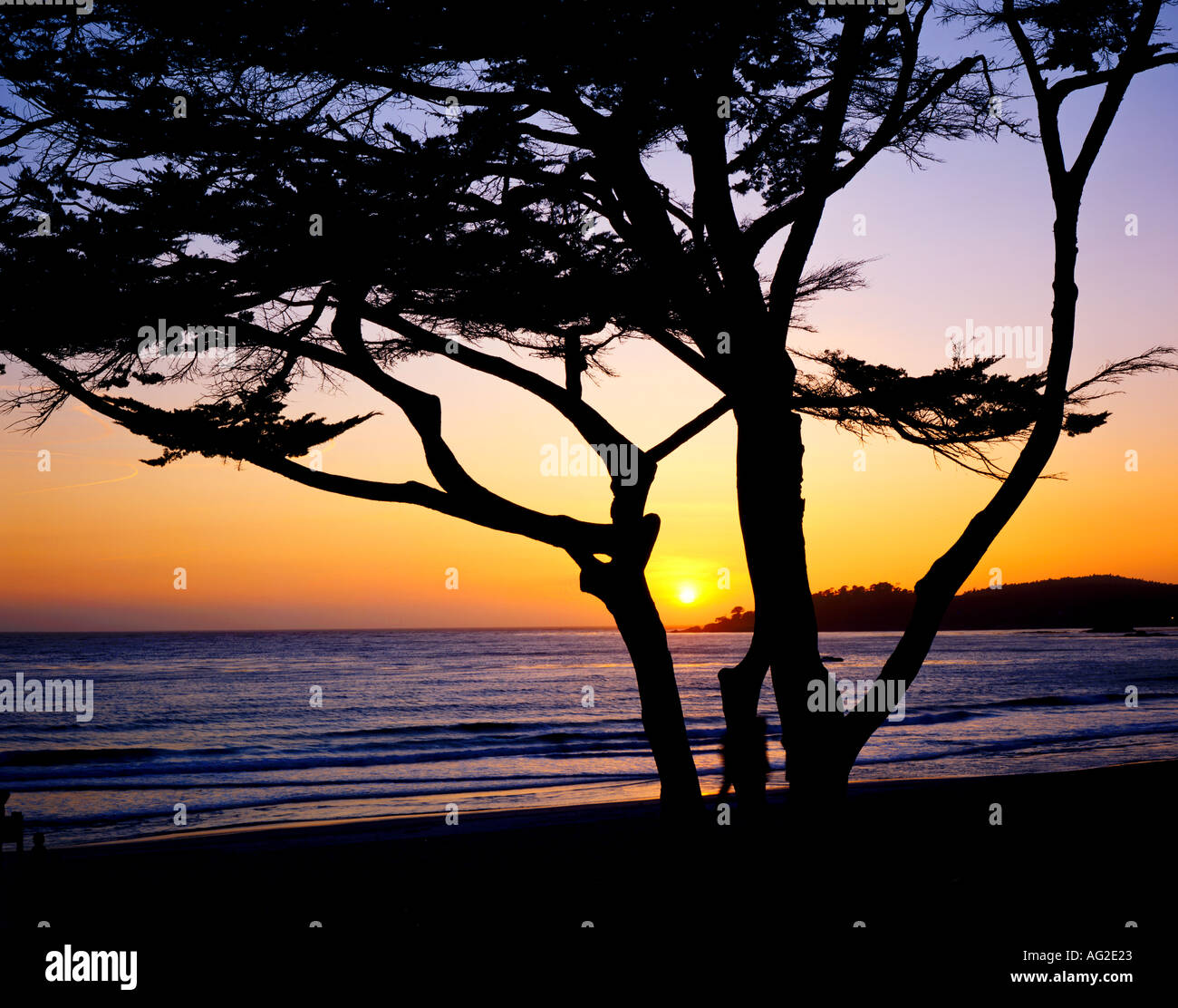 Zypresse und Strand bei Sonnenuntergang Carmel, Kalifornien USA Stockfoto