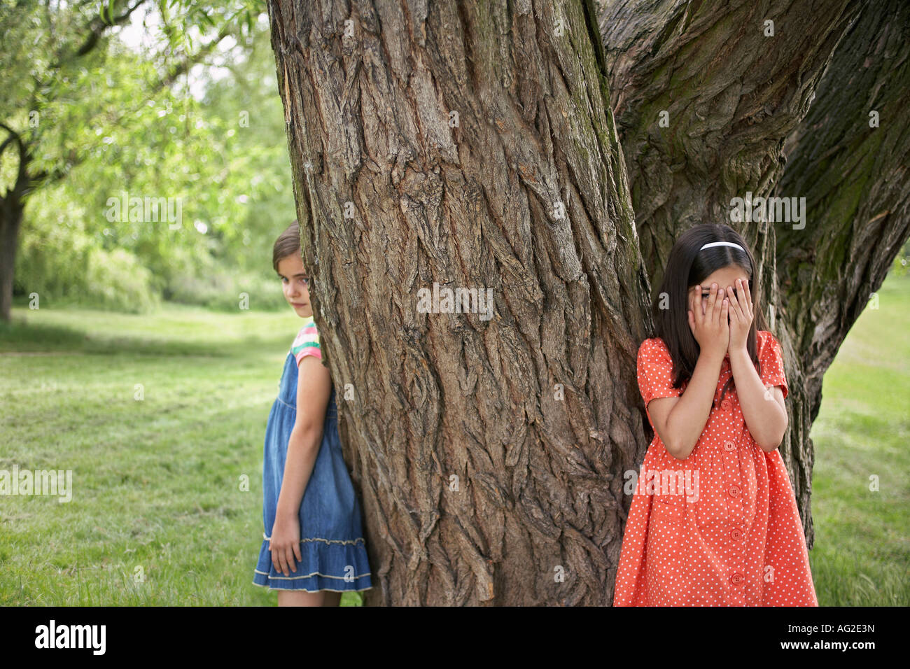 Zwei Mädchen (7-9) spielen verstecken und suchen von Baum Stockfoto