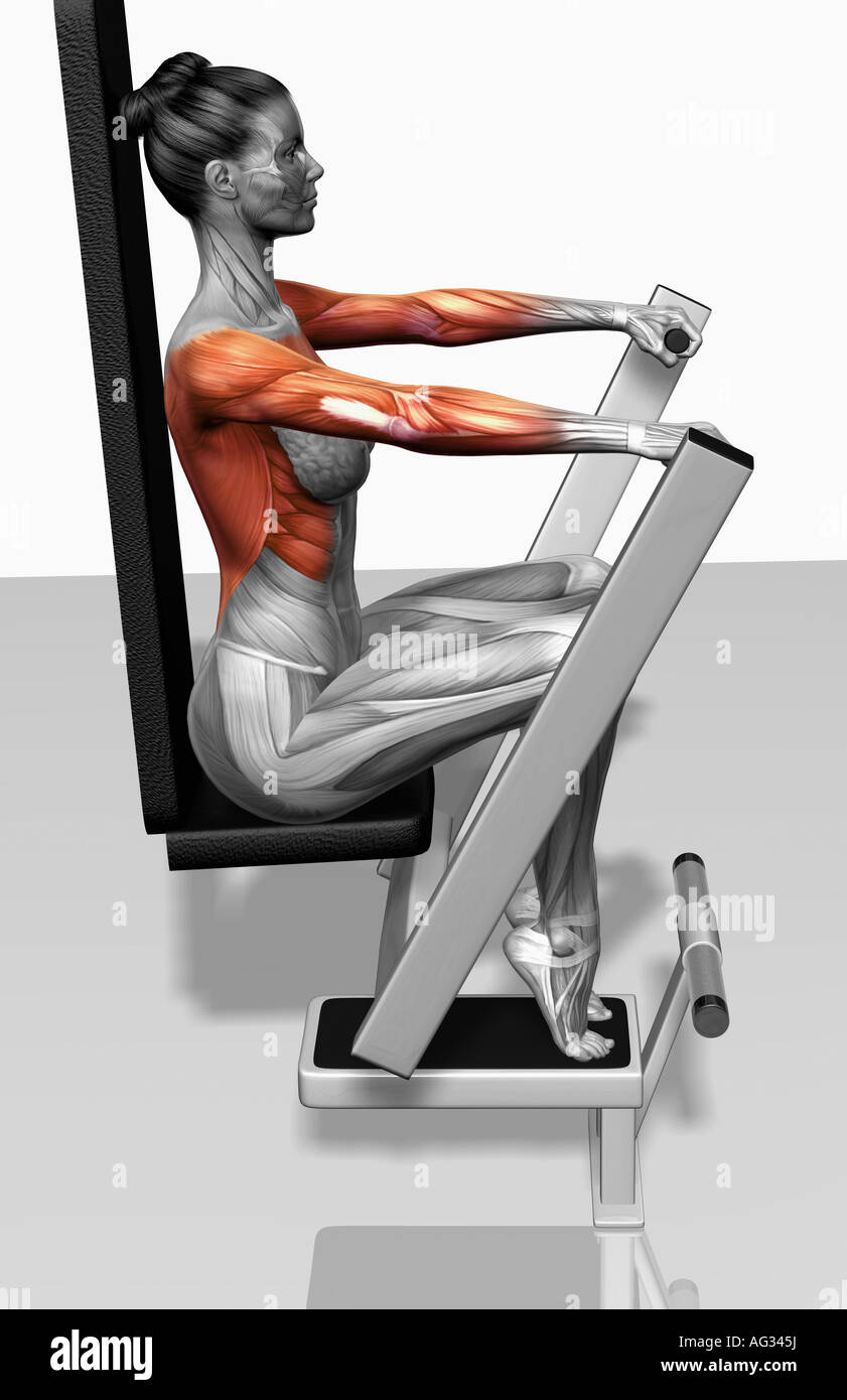 Hebel-Bankdrücken Stockfoto