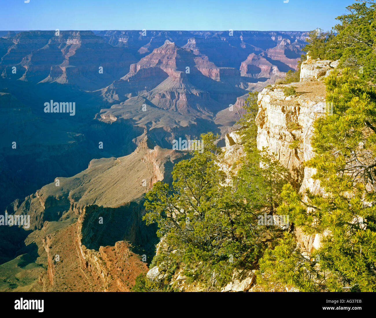 South Rim Grand Canyon Arizona USA Stockfoto