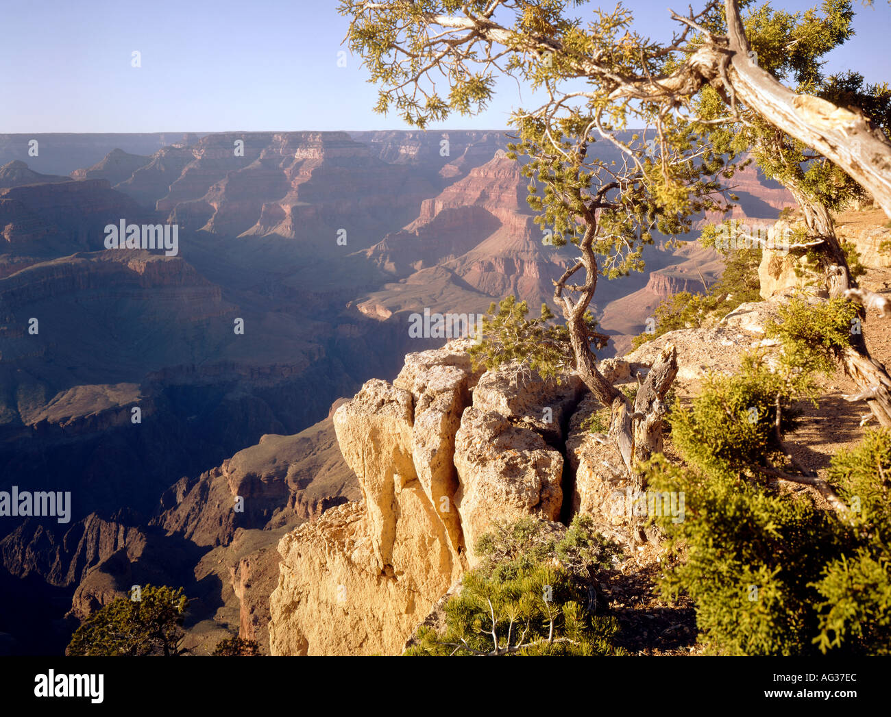 South Rim Grand Canyon Arizona USA Stockfoto