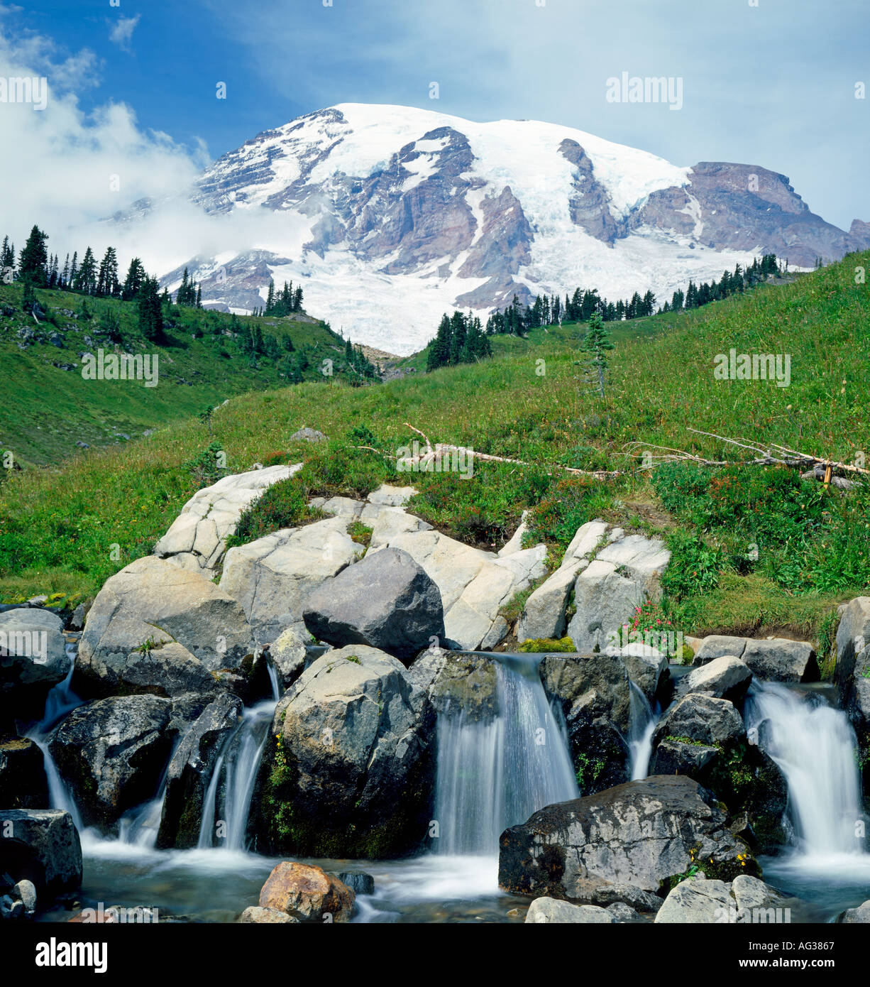 Mount Rainier in Mt Rainier National Park Washington State USA Stockfoto