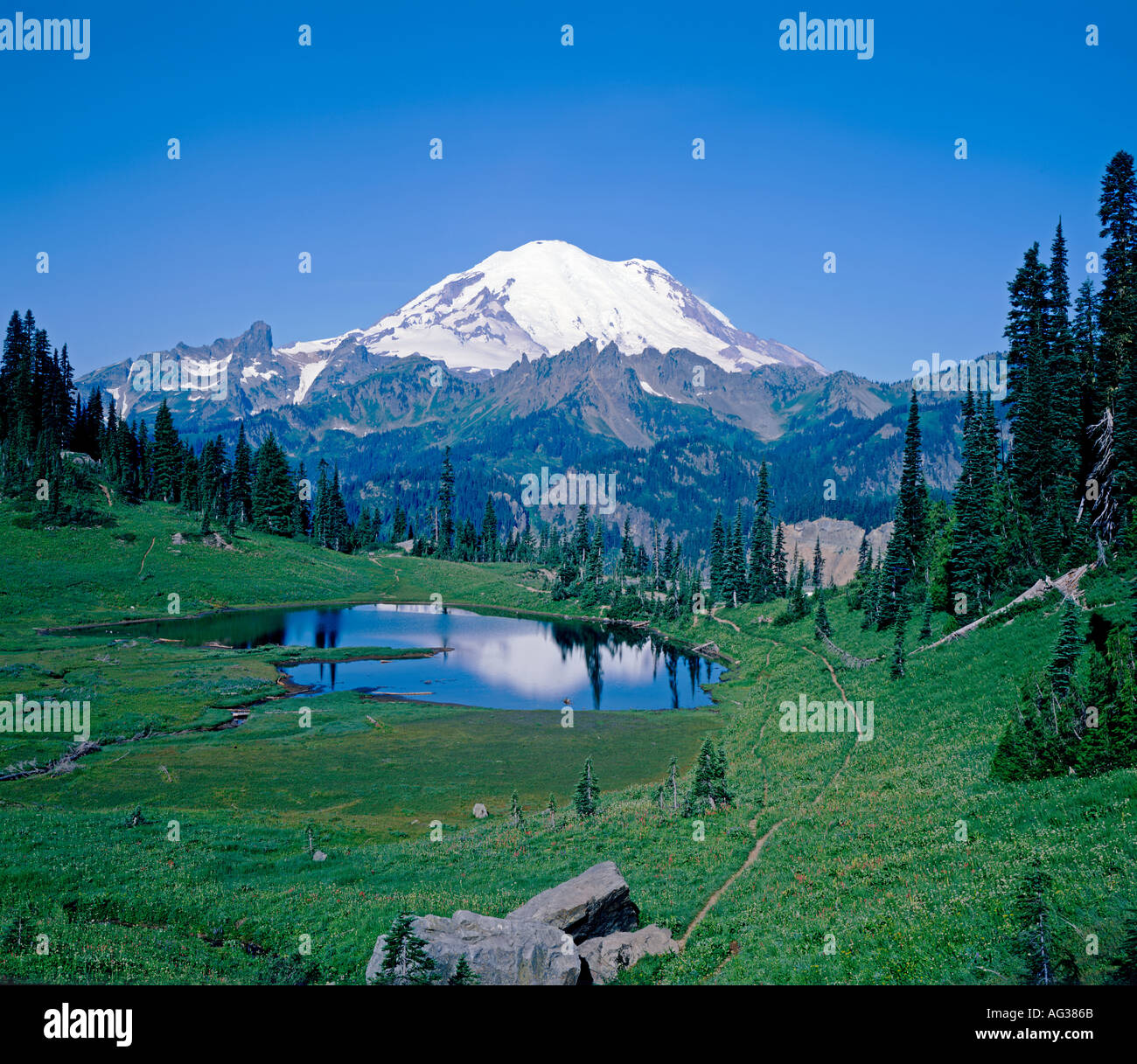 Mt Rainier National Park Washington State USA Stockfoto