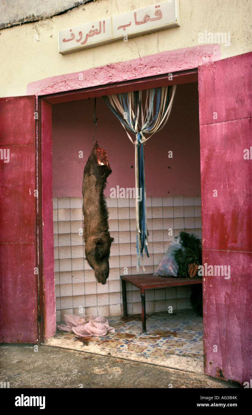 Algerien El Oued Kopf hängen an Metzgerei Kamels zu zeigen, dass das Fleisch frisch ist Stockfoto