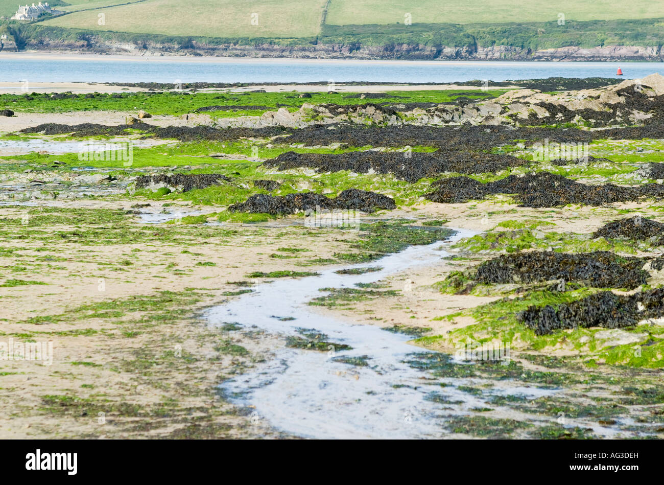 Daymer Bay, North Cornwall, England, UK Stockfoto