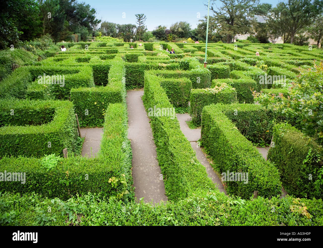 Labyrinth in der Isle Of Wight erschossen Stockfoto