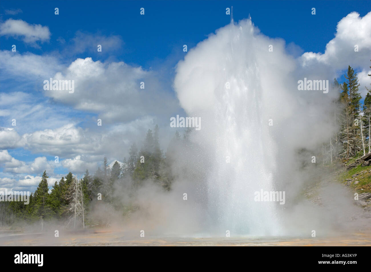 Grand Geysir oberen Geysir-Becken Yellowstone Nationalpark Wyoming Usa Vereinigte Staaten von Amerika Stockfoto