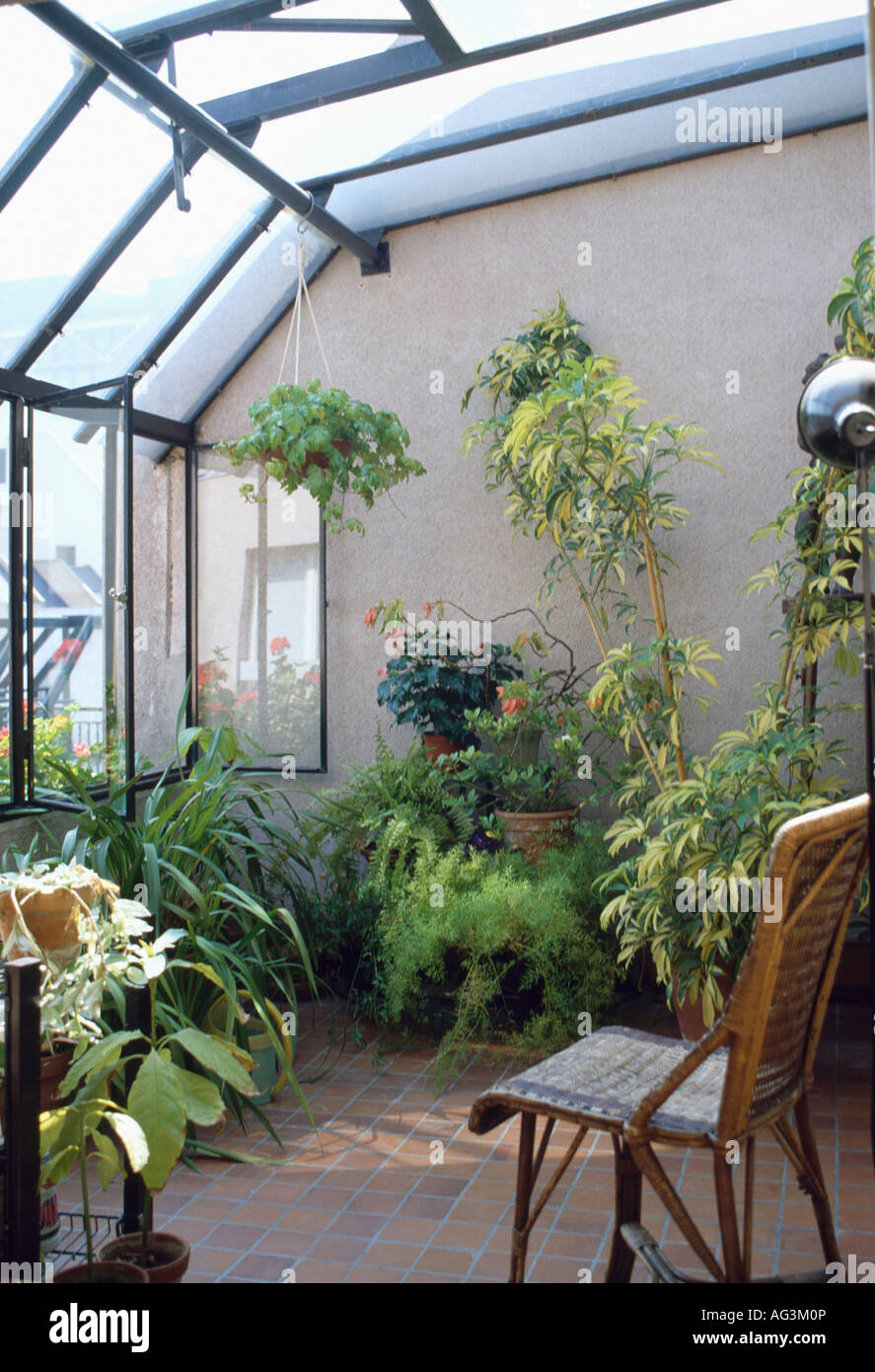 Üppige Zimmerpflanzen und Zuckerrohr Stuhl im modernen Wintergarten-Erweiterung Stockfoto