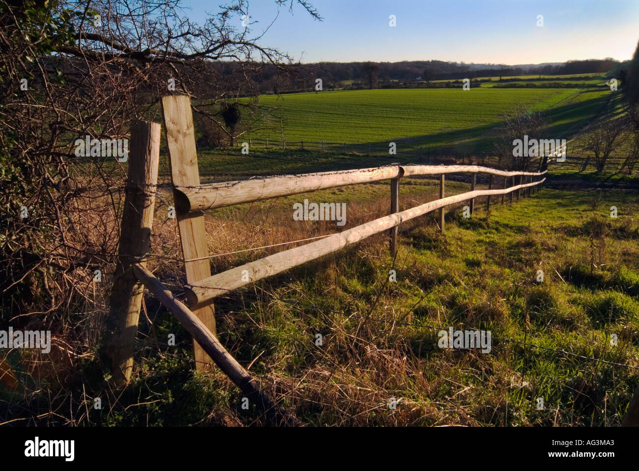 Blick von St. Johannes Baptist Parish Kirche Coney Hall West Wickham Kent Vereinigtes Königreich Stockfoto