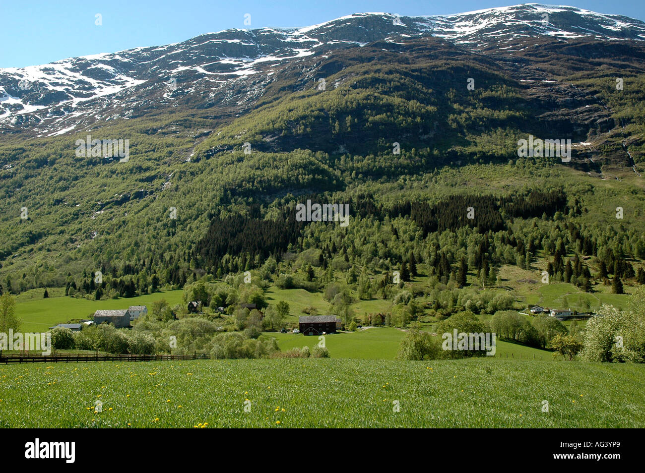 Ackerland und Snow capped Berge in der Nähe von Olden, Nordfjord, Stryn, Norwegen Stockfoto