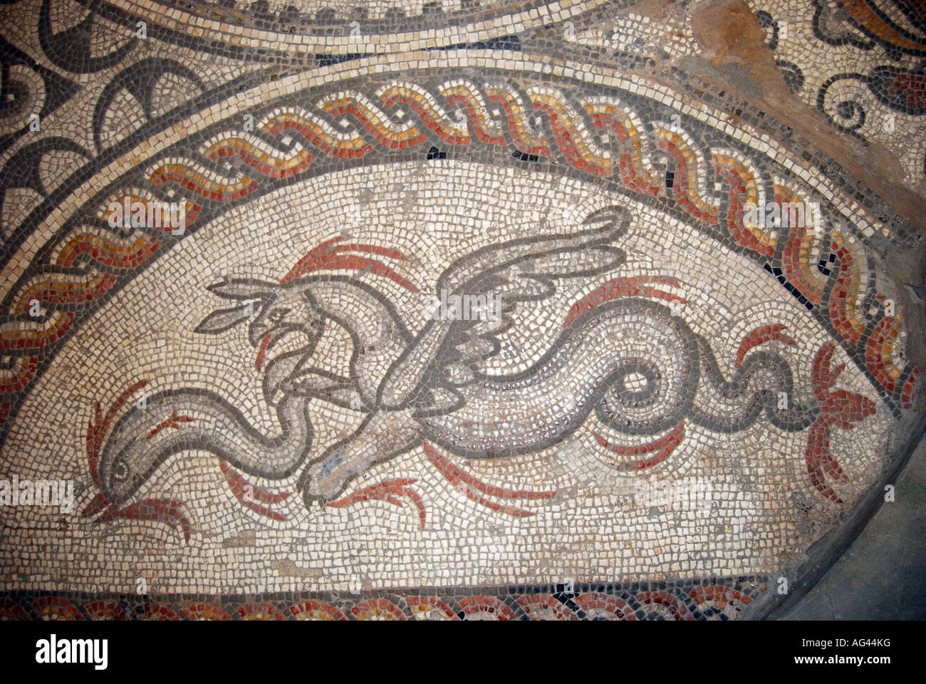 Meer Panther Mosaik, Britanniens Museum, Parkstraße, Cirencester, Gloucestershire, England, Vereinigtes Königreich Stockfoto