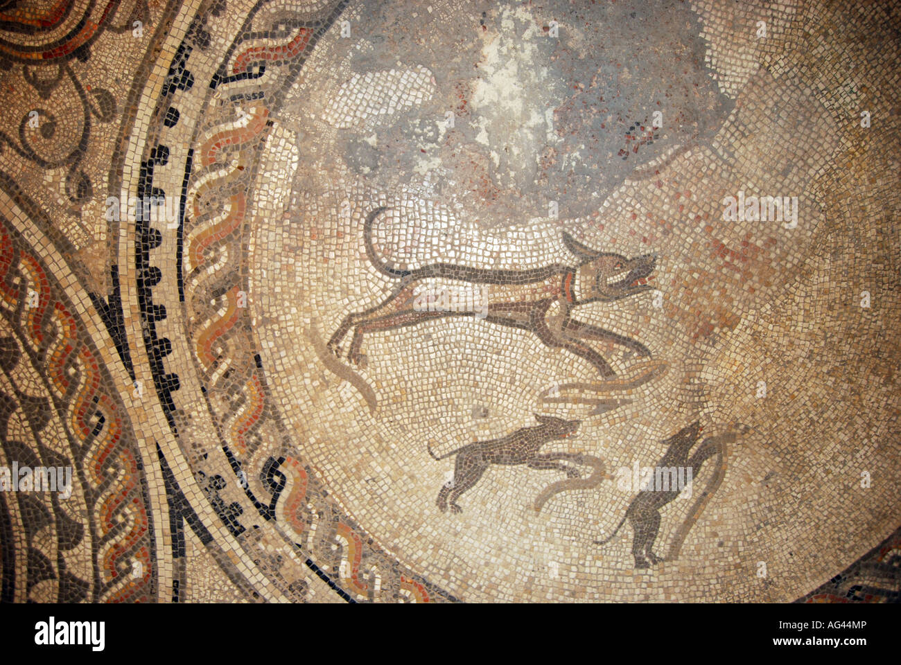 Jagd-Hunde-Mosaik, Britanniens Museum, Parkstraße, Cirencester, Gloucestershire, England, Vereinigtes Königreich Stockfoto