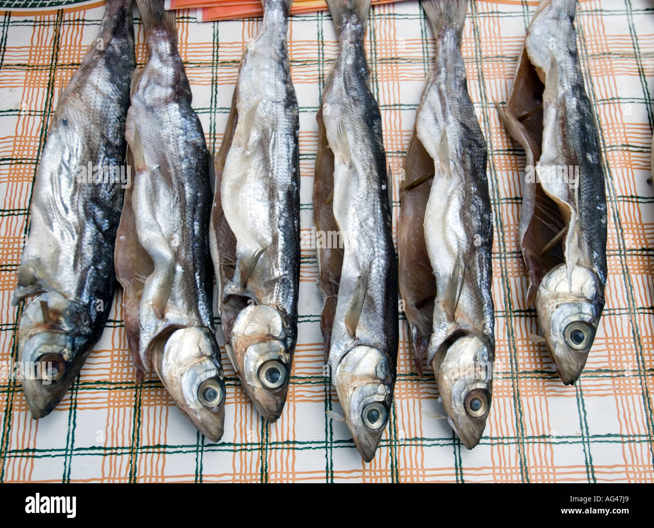 Verkauf von geräucherten Omul Fisch am Ufer des Sees Baikalsee Sibirien Russland 2006 Stockfoto